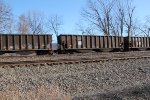 NS 10229